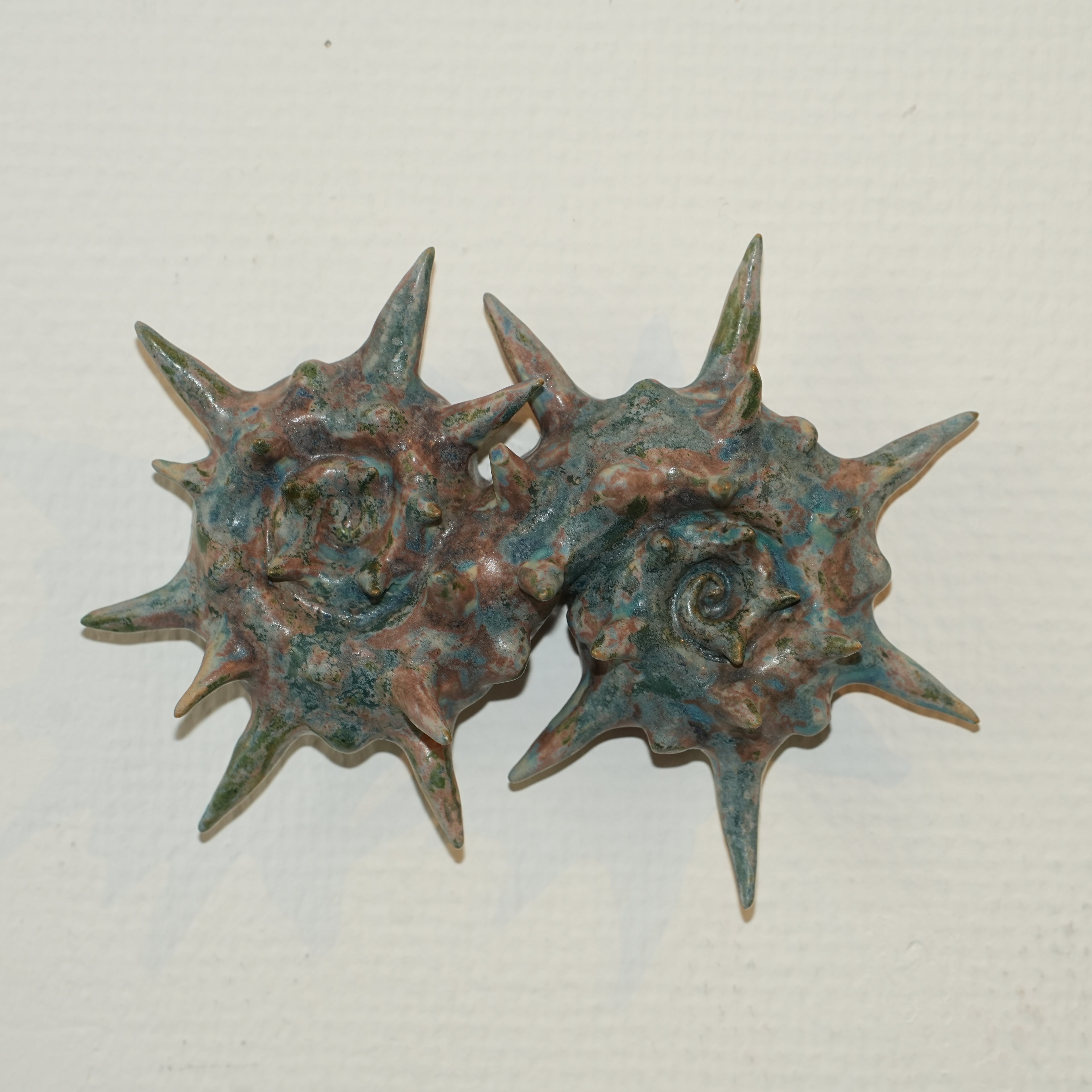 Ammonite Babies II