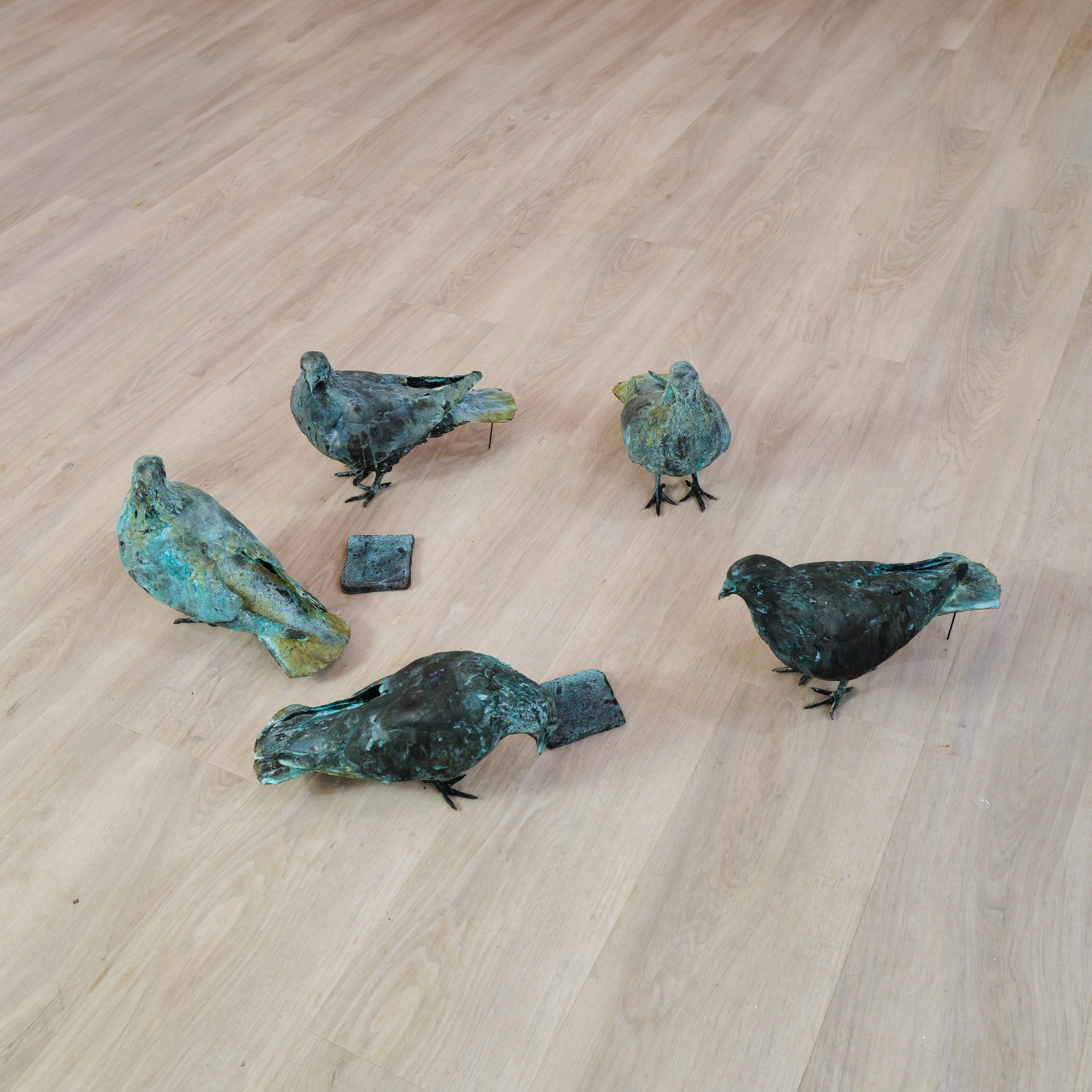 Pigeons - Piece price