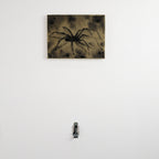 5. Existentialism 1:50 with spider